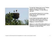 Fehlerlesen-Weißstorch-Lesetext-5.pdf